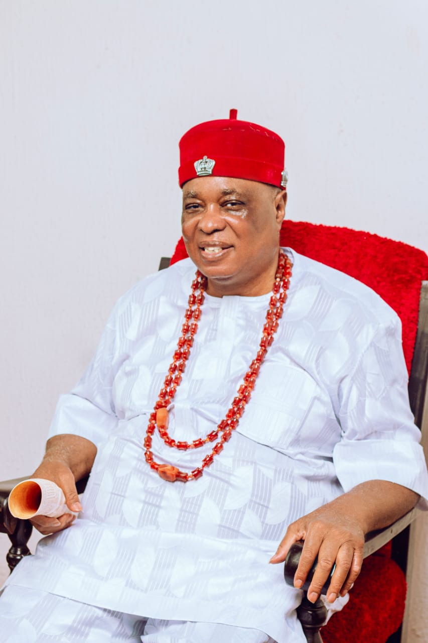 PDP Must Unite and Engage Youth to Regain Power in 2027, Says Anakwenze